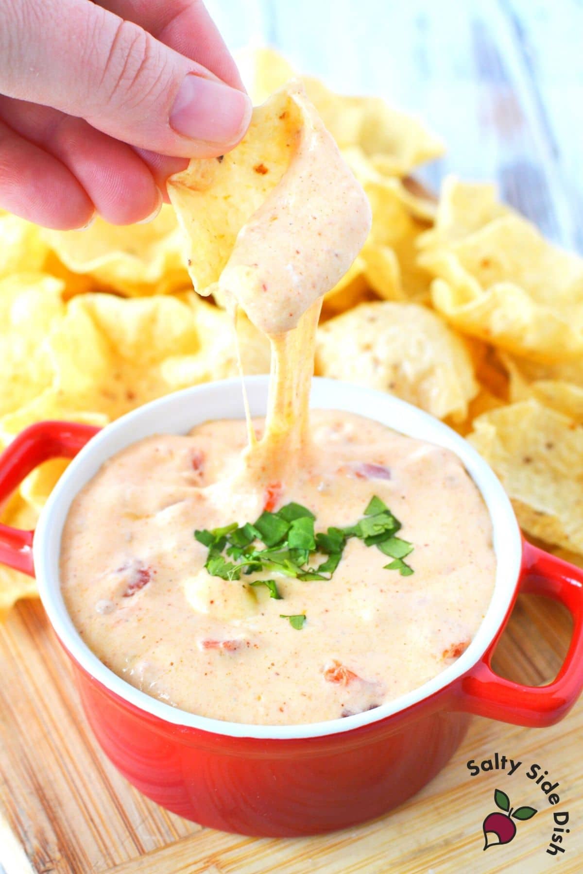 Chihuahua Cheese Dip being pulled by a tortilla chip