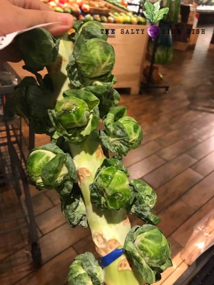 brussels sprouts on a stem