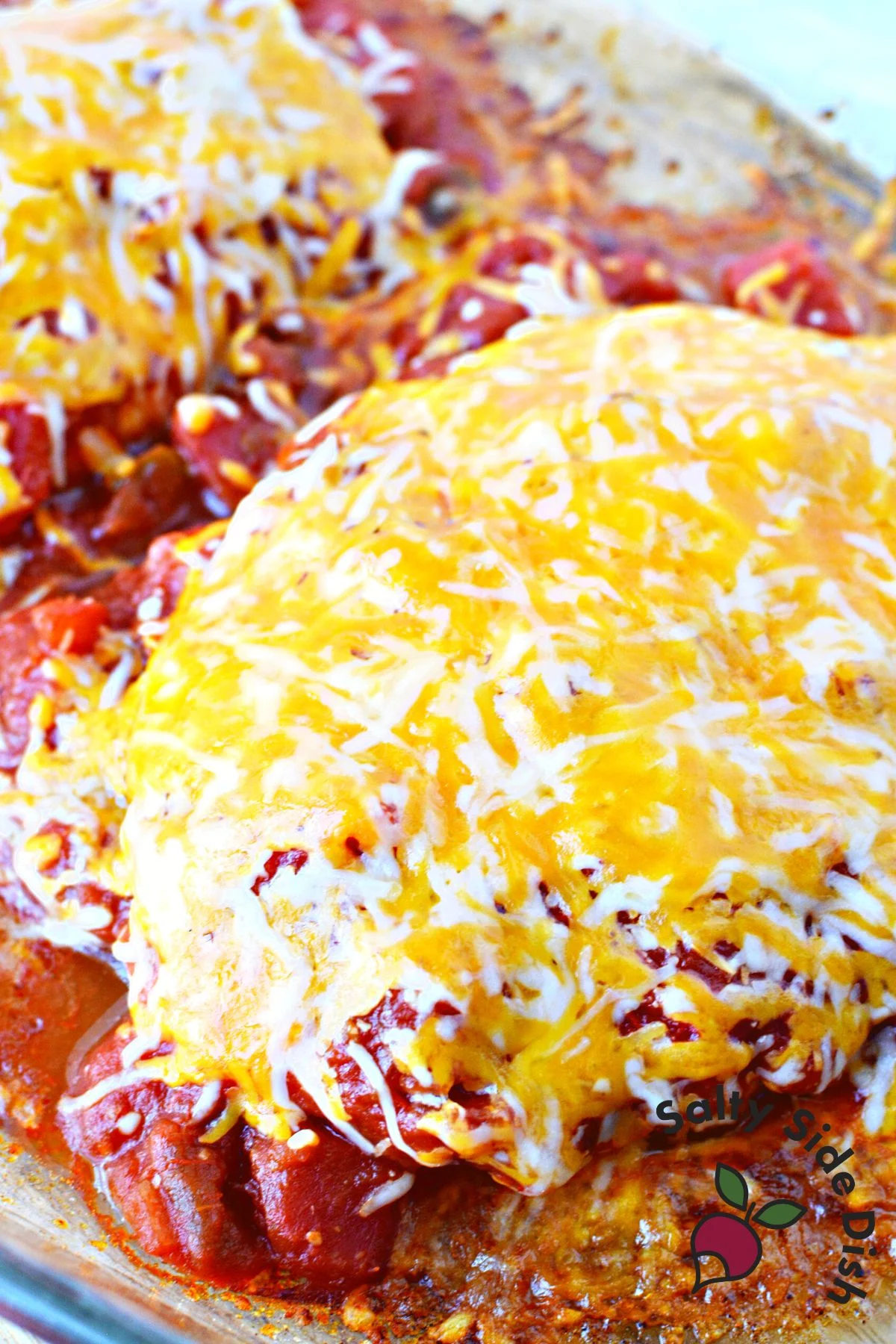 Salsa Chicken