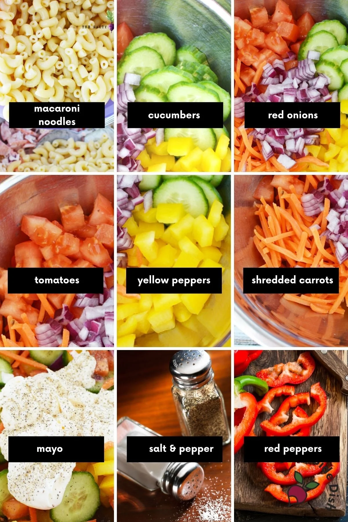 collage showing each ingredient for vegetable pasta salad with a label.