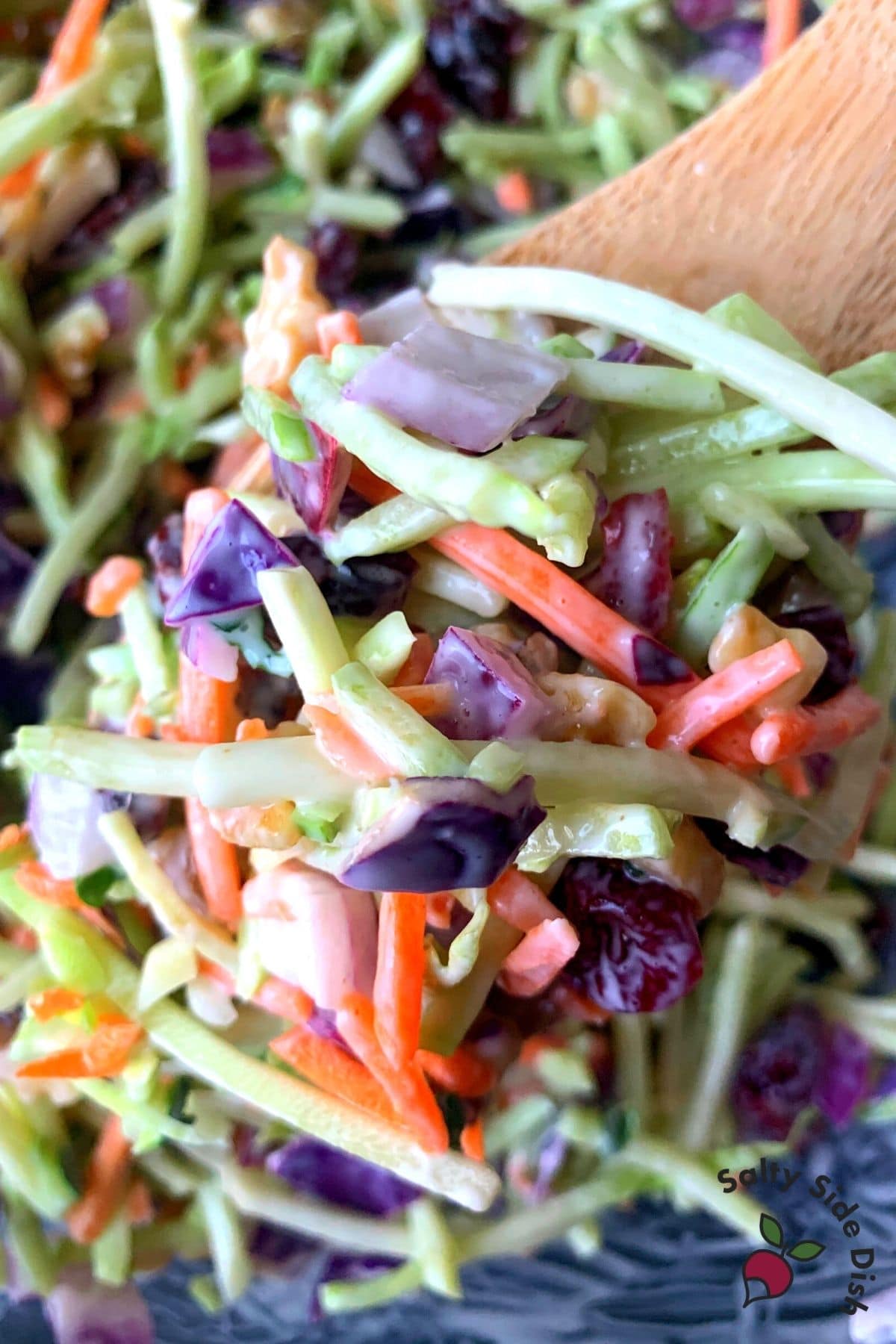 Broccoli Slaw with Creamy Dressing