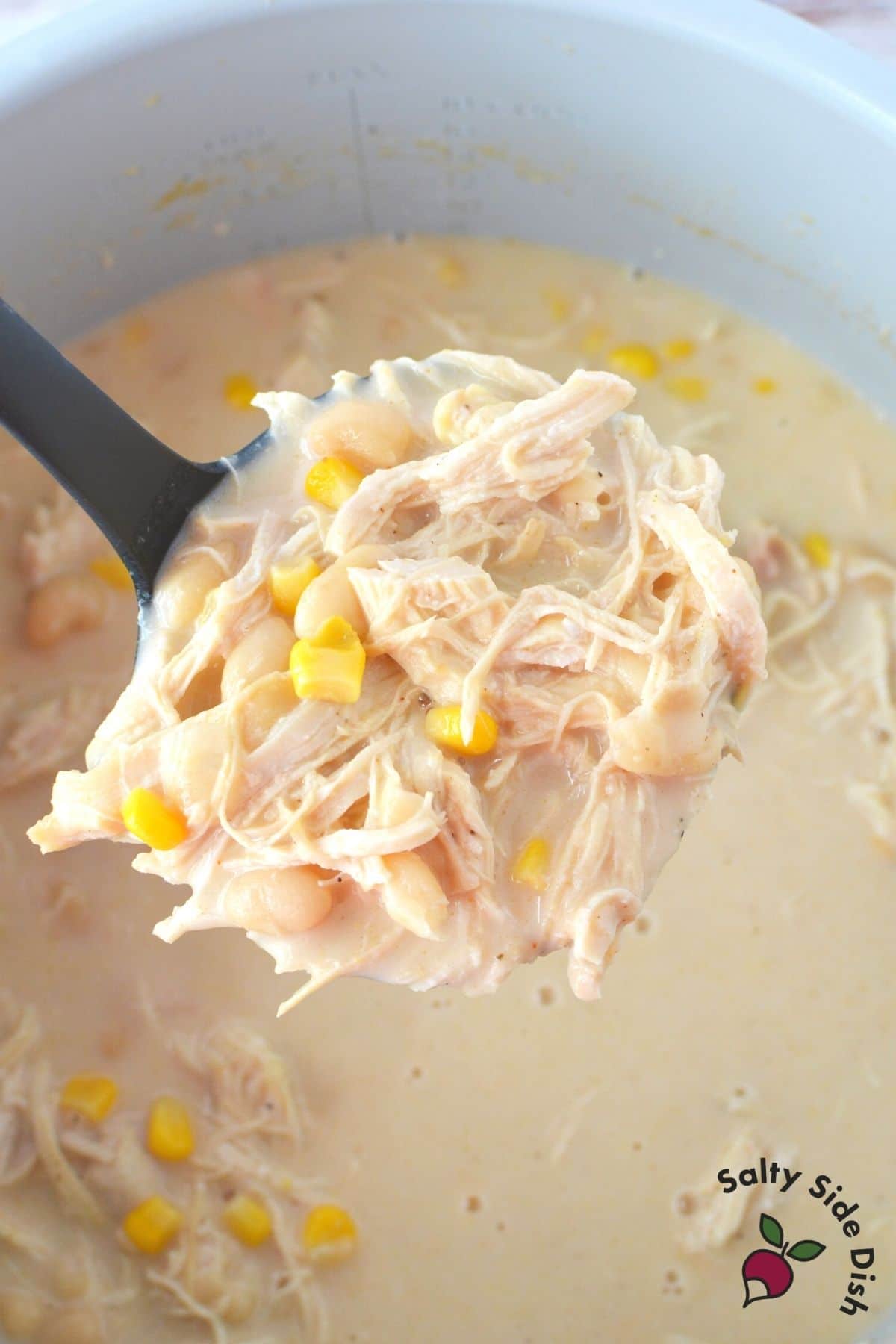 ladle with chicken chili in it