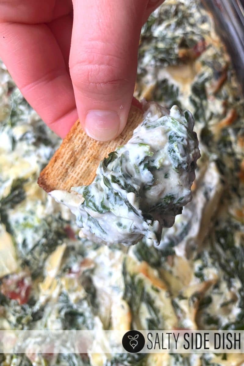 dipping a triscuit into a homemade dip recipe.