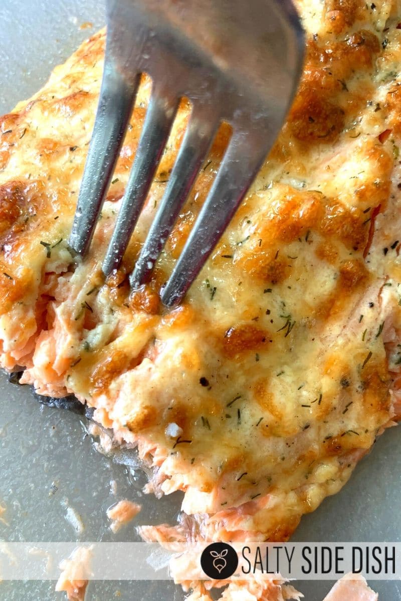 air fryer salmon.