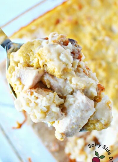 spoonful of chicken and rice so creamy.