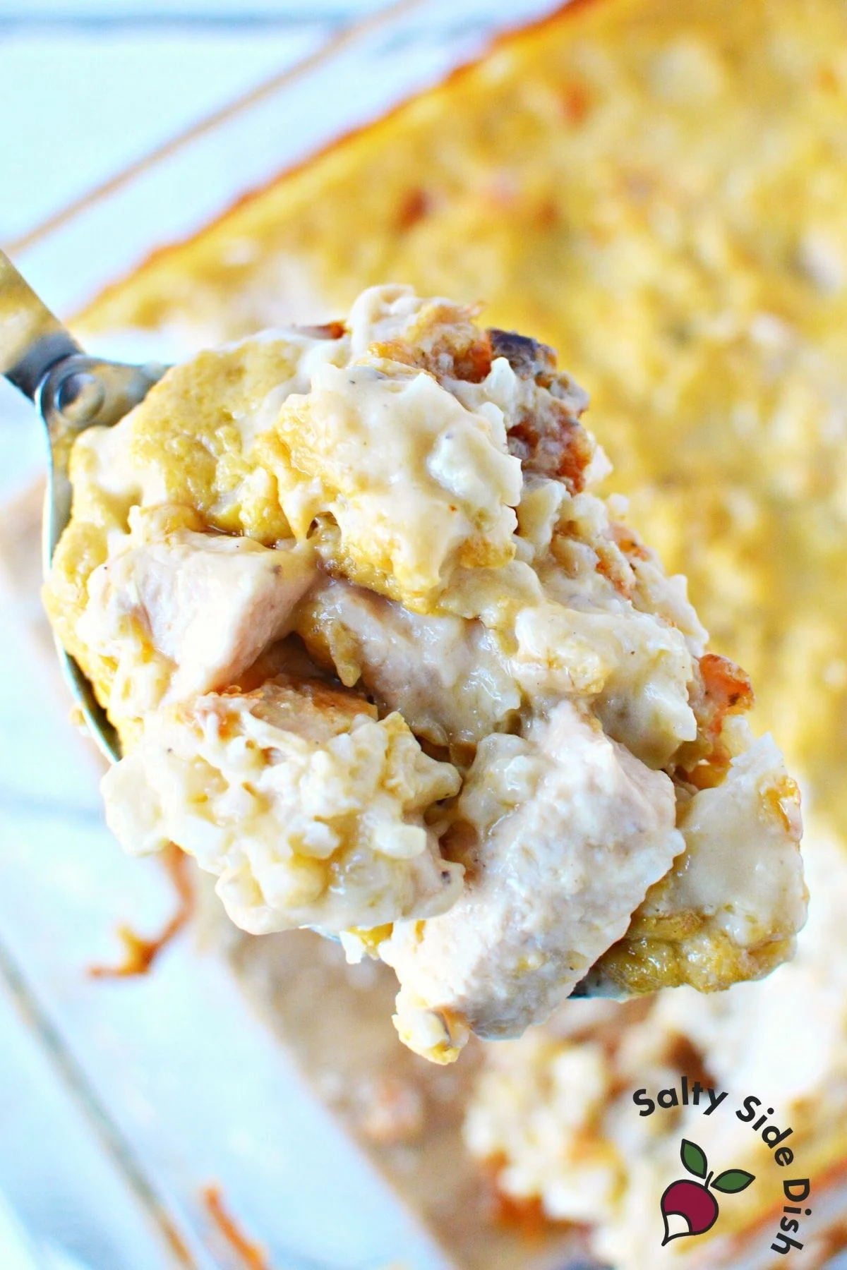 spoonful of chicken and rice so creamy.