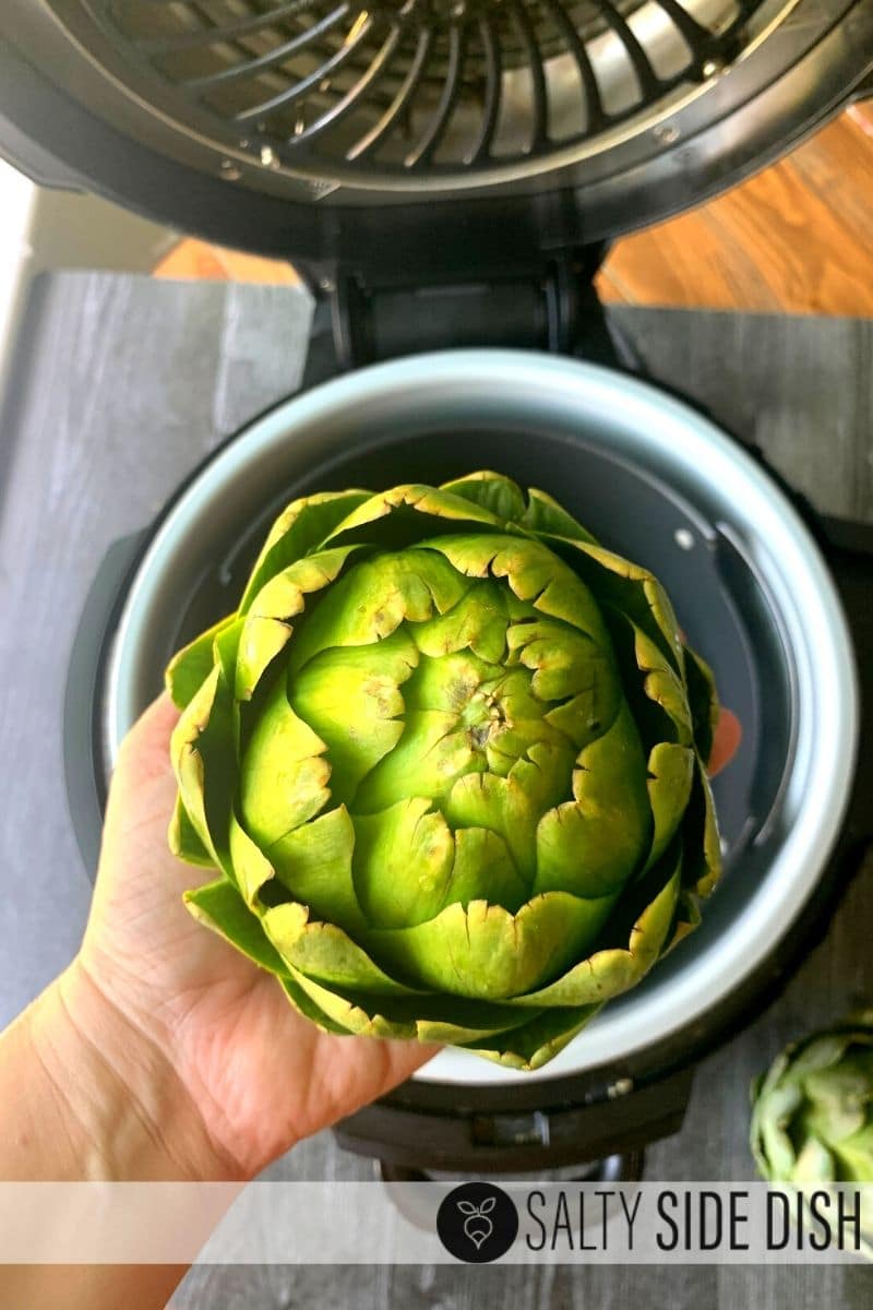 Easy simple artichokes ready to put into pressure cooker and make in under 30 minutes