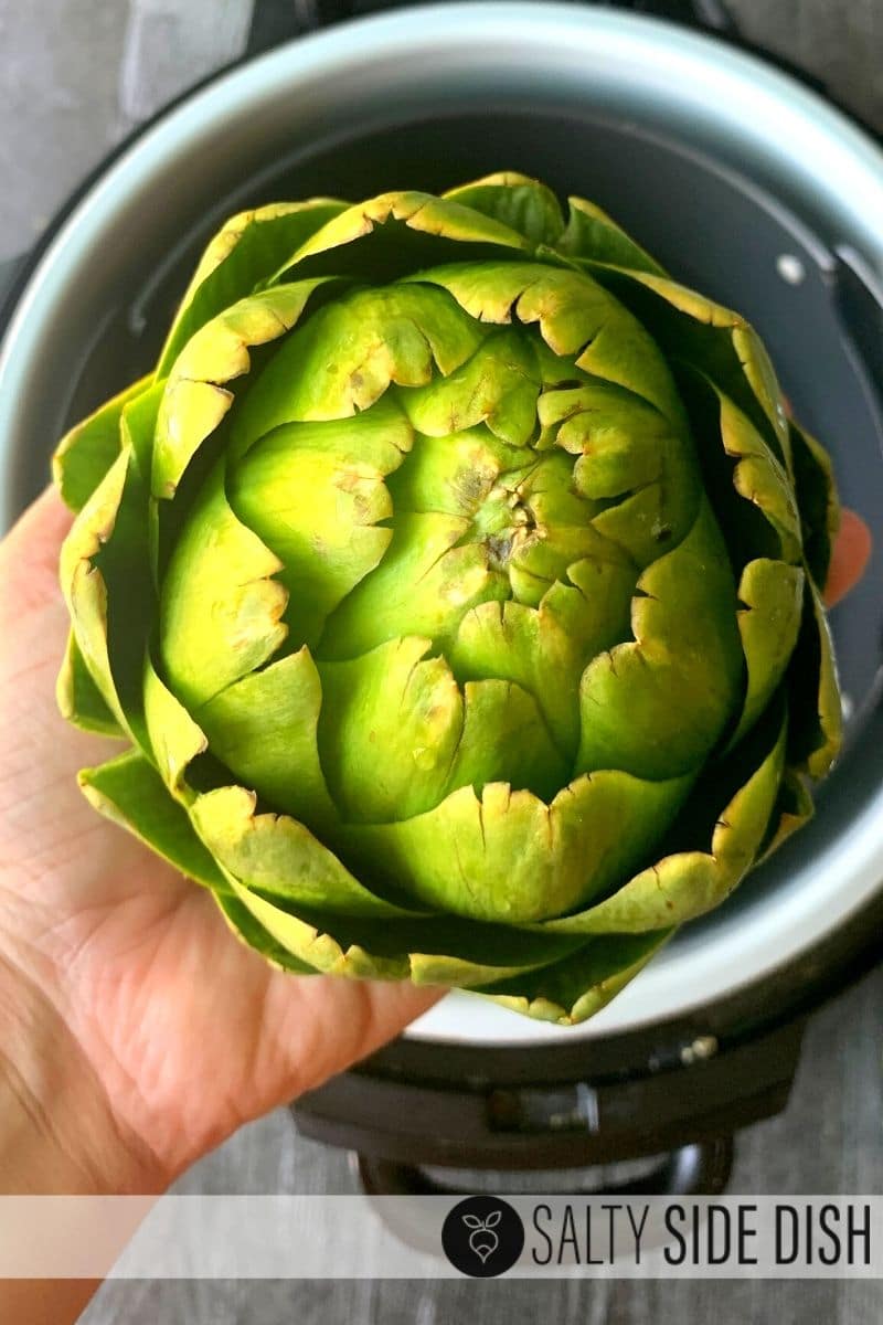 Pressure Cooker Artichokes Ninja Foodi