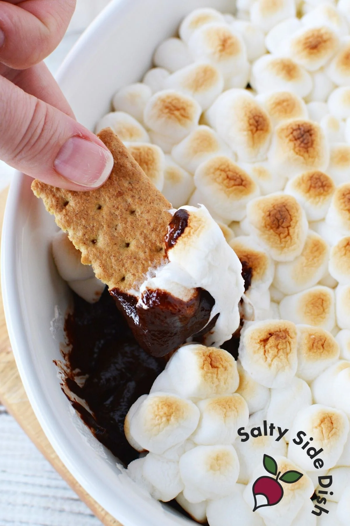 easy smores appetizer recipe.