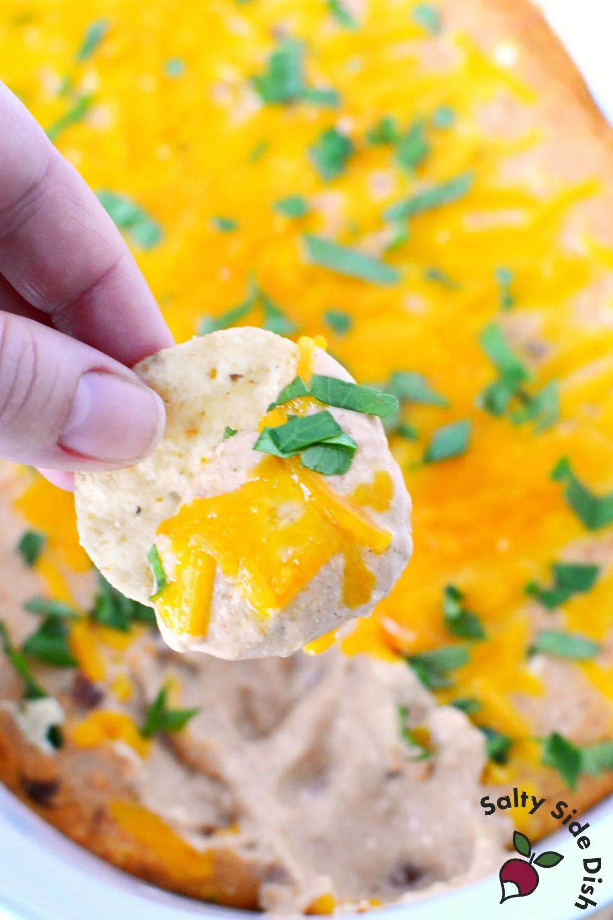 bean dip on a tortilla chip.