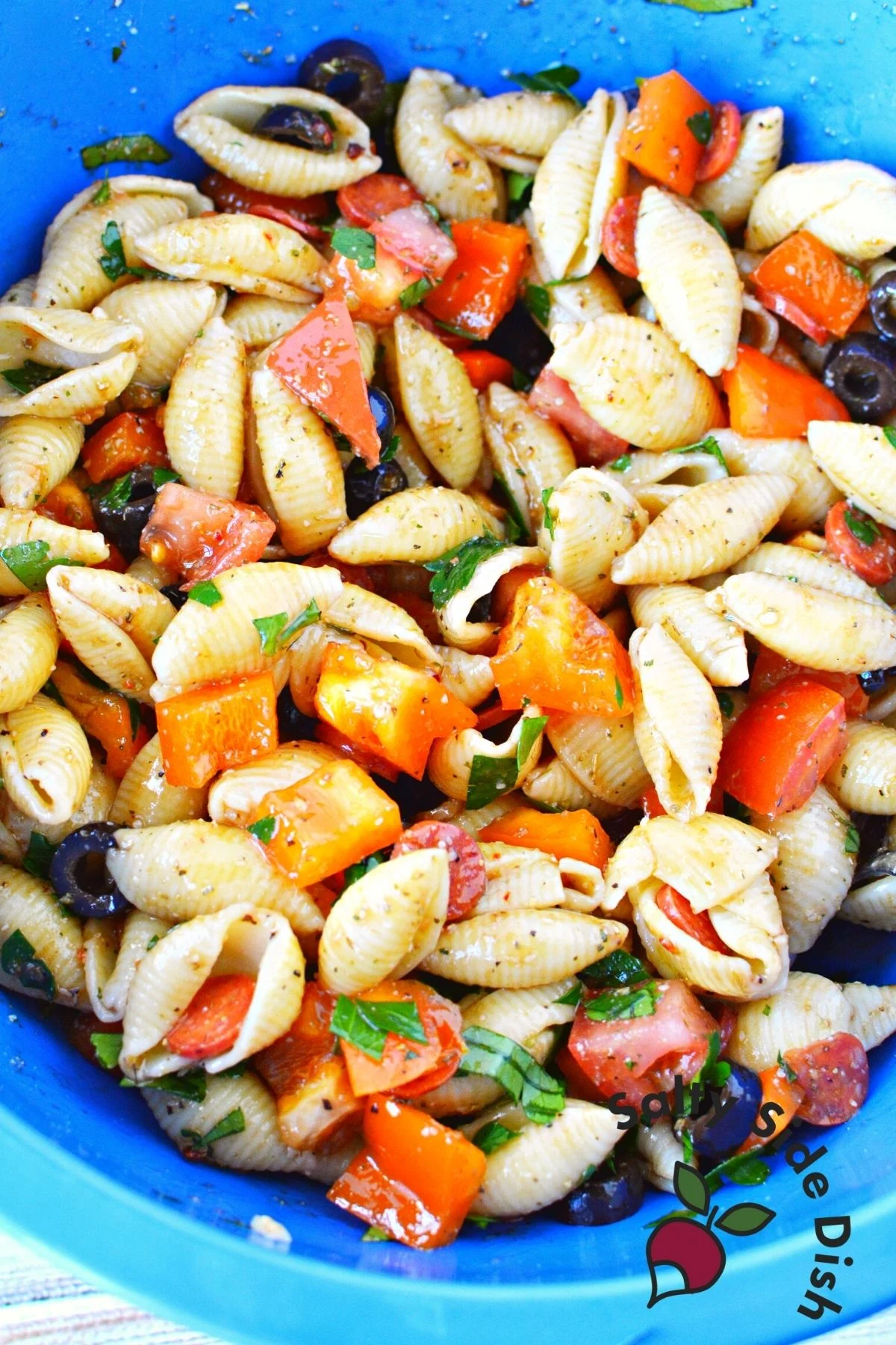 Shell Pasta Salad