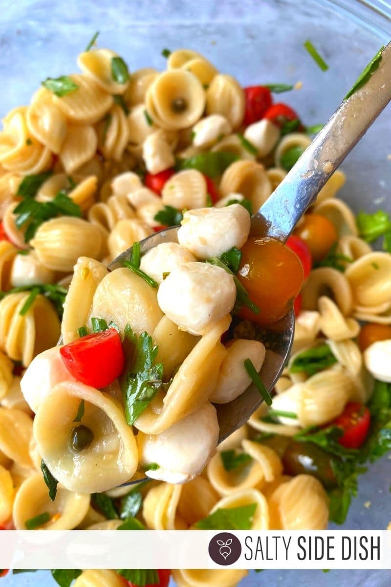 Orecchiette Caprese Pasta Salad with Herb Vinaigrette on a spoon