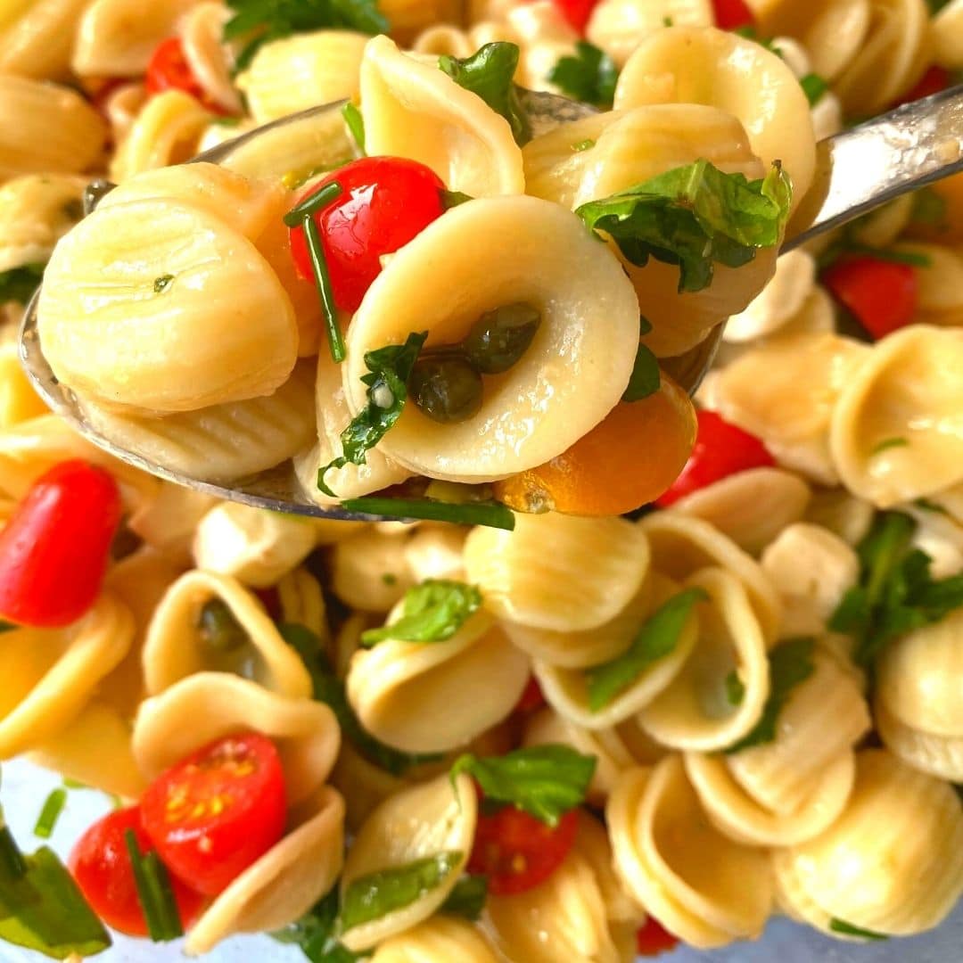 Orecchiette Caprese Pasta Salad