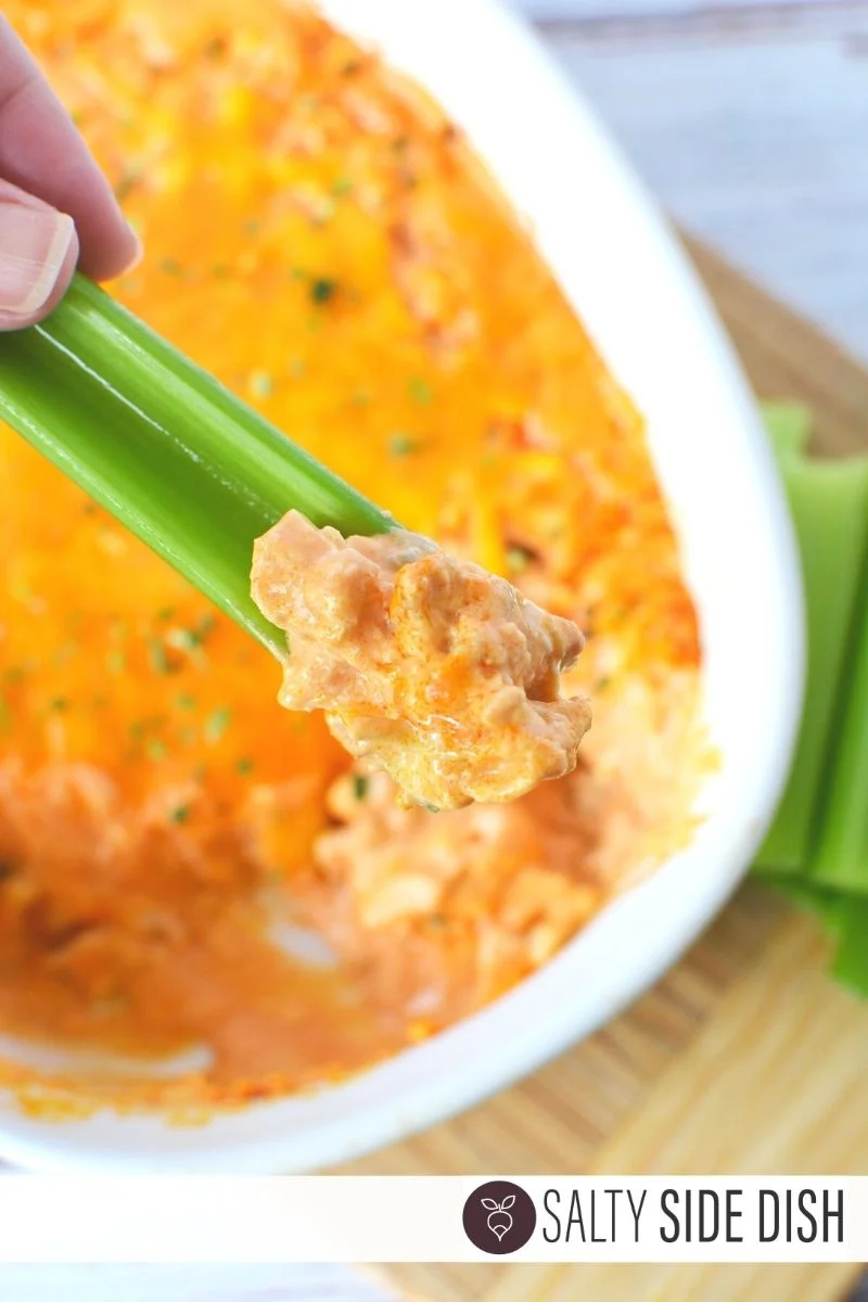 buffalo chicken dip appetizer.