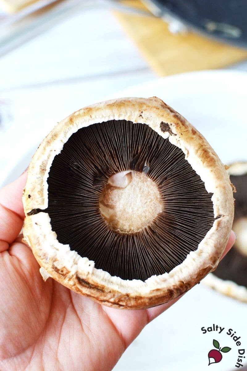 inside of large porobello mushroom