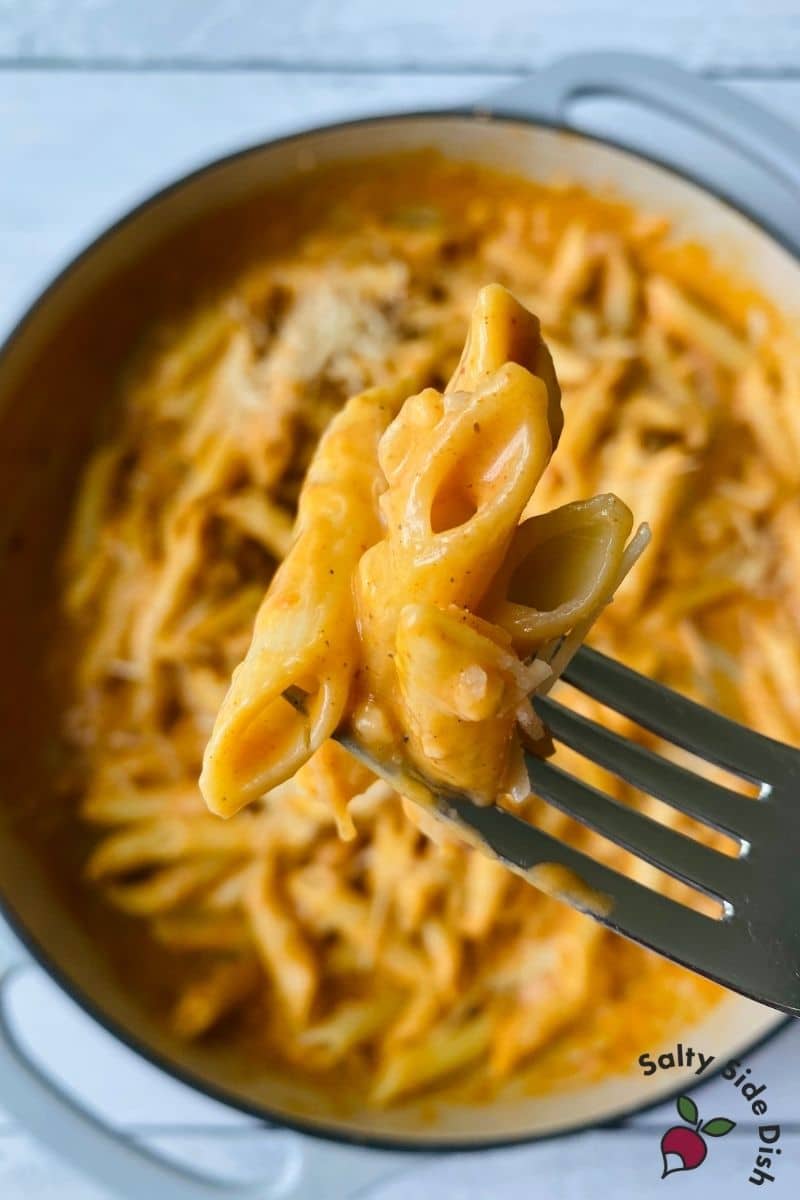 penne pasta on the end of a fork getting ready to be eaten