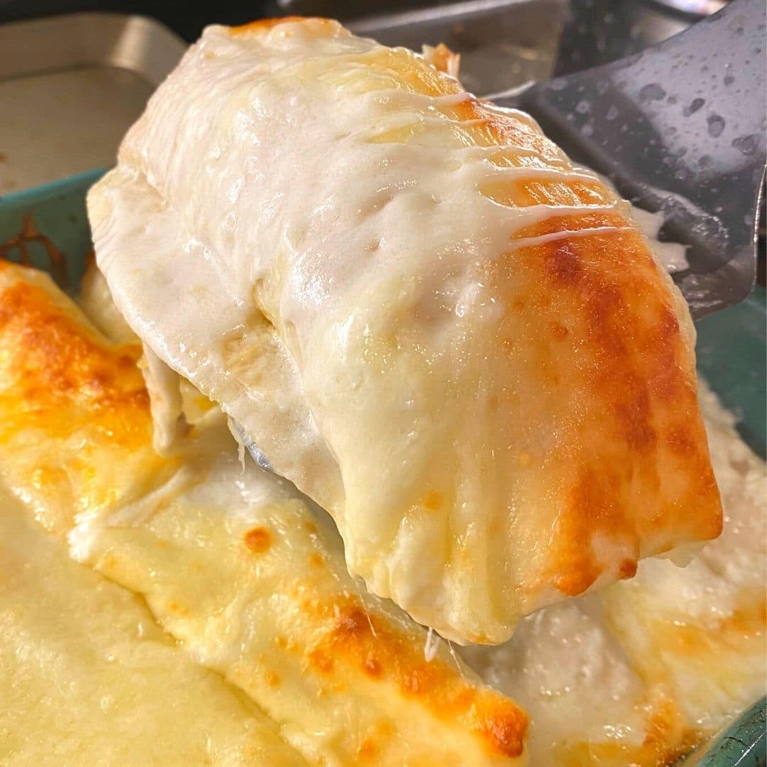 Easy White Chicken Enchiladas