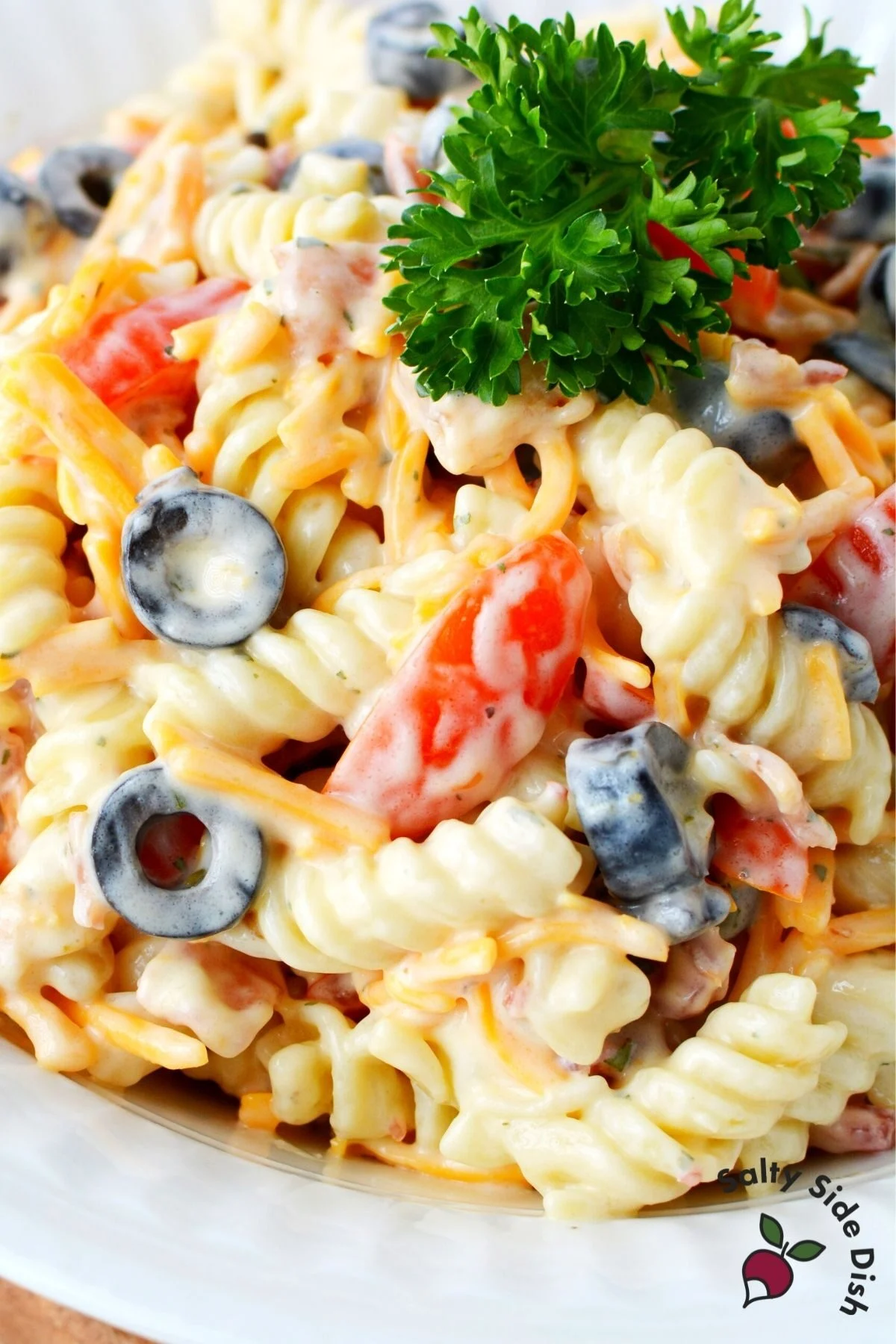 white plate and piled high pasta with tomatoes, olives, cheese and bacon and a top of green parsley visible