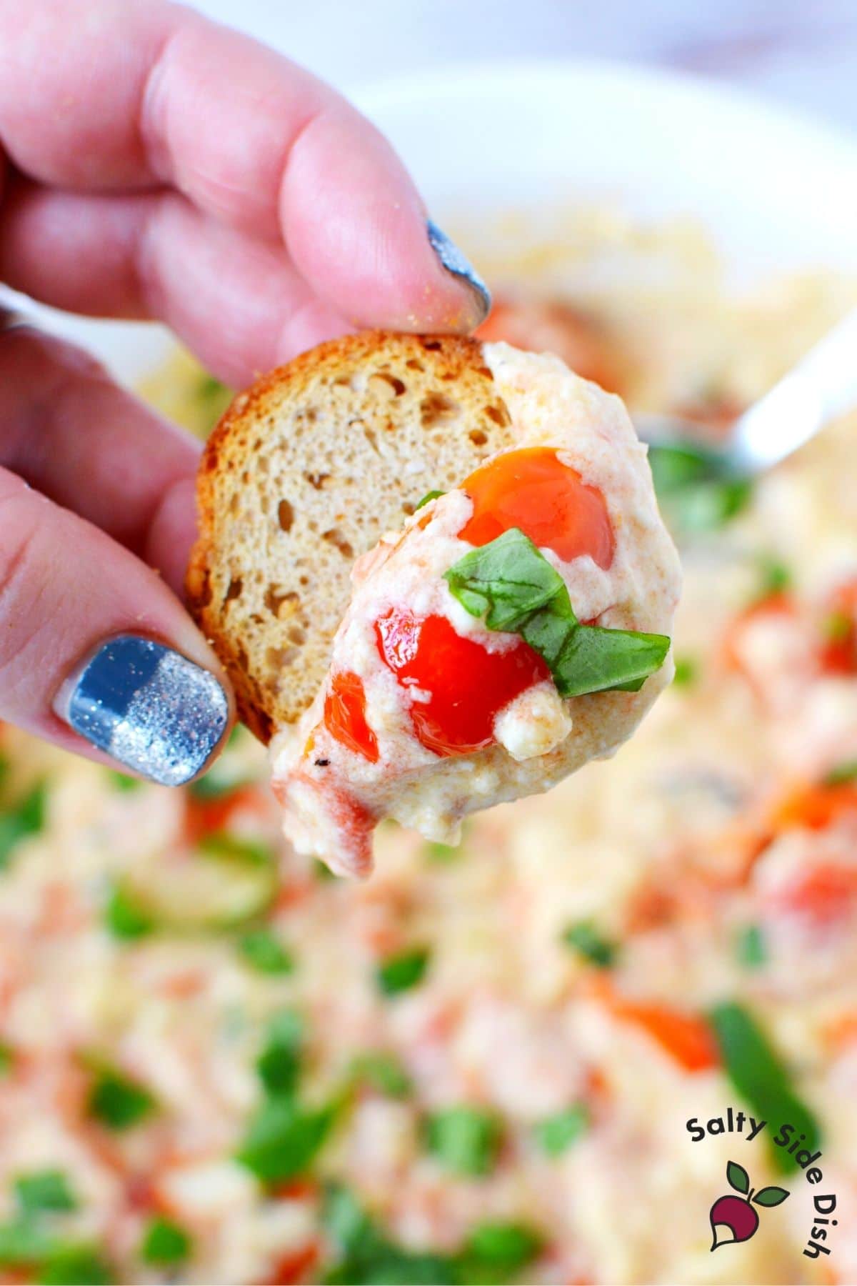 melba toast with feta cheese dip
