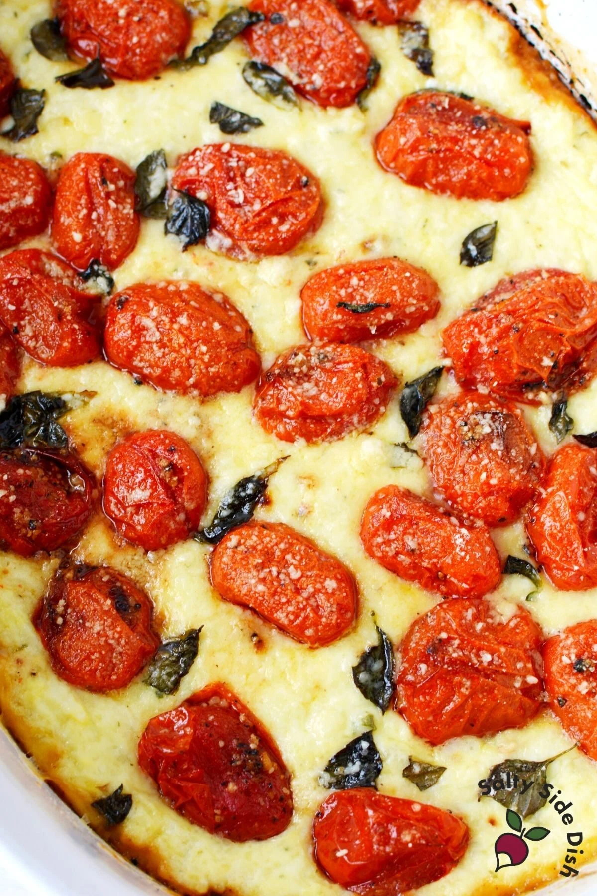 baked ricotta dip
