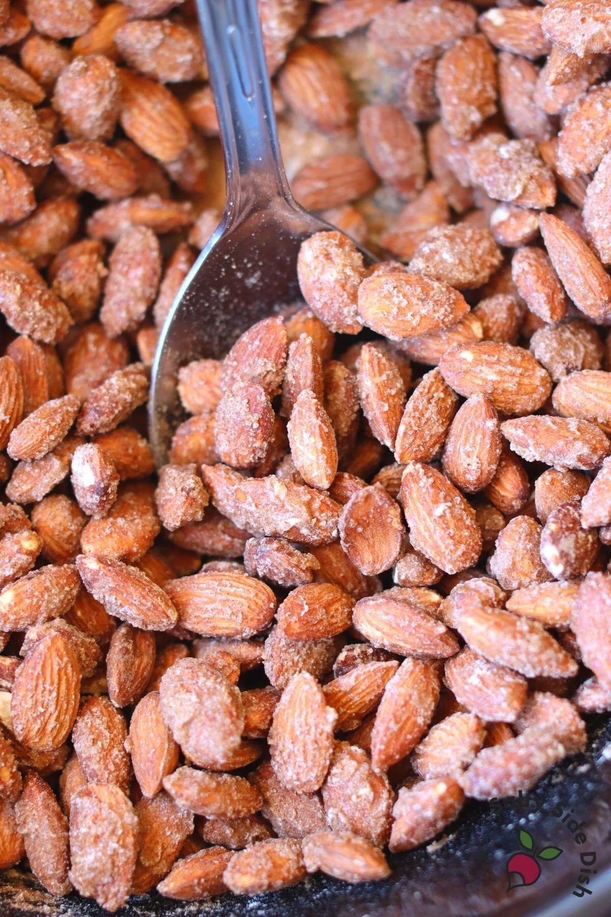 roasted almonds in a slow cooker