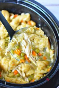 spoonful of chicken and dumplings.