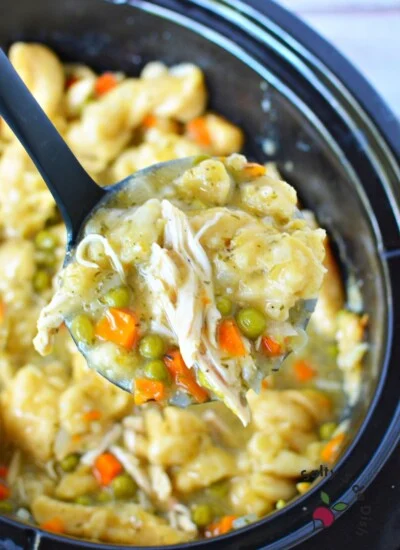 spoonful of chicken and dumplings.