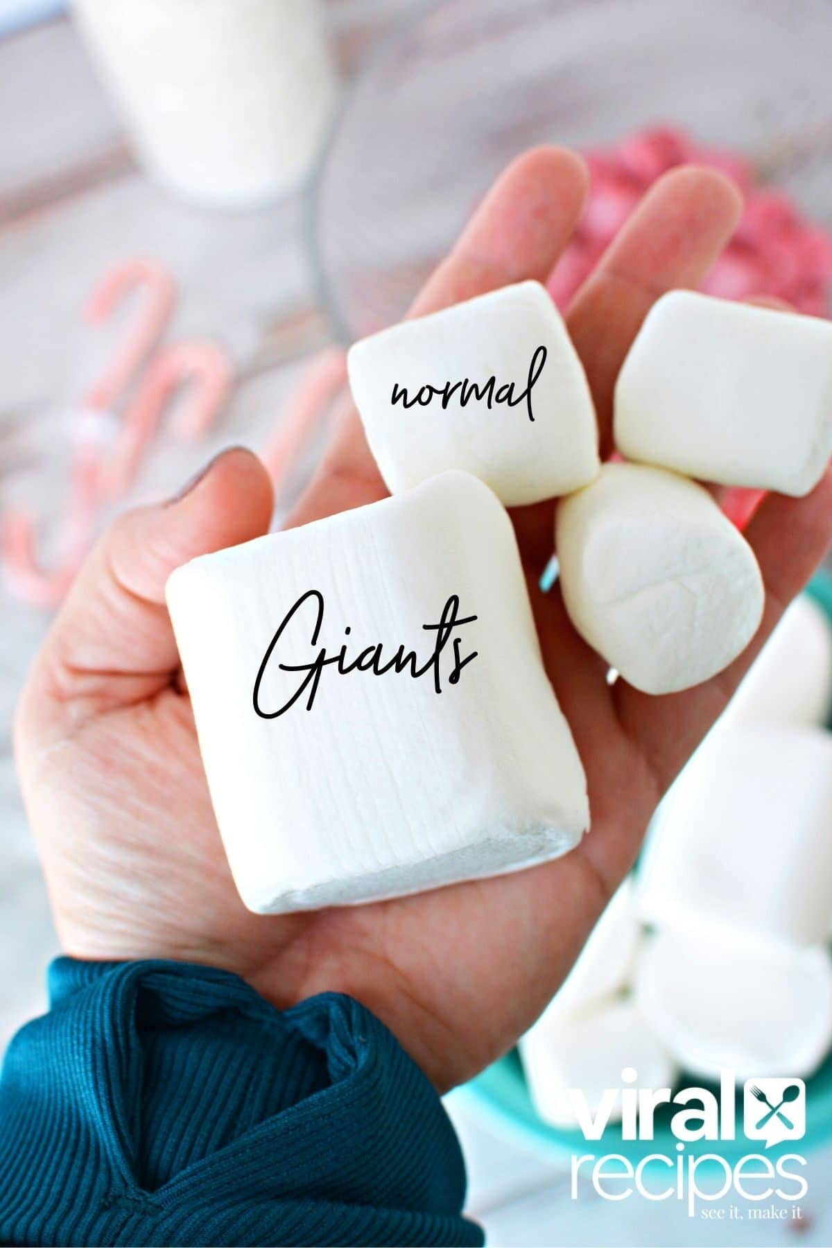 giant marshmallow roasters compared to regular marshmallows.