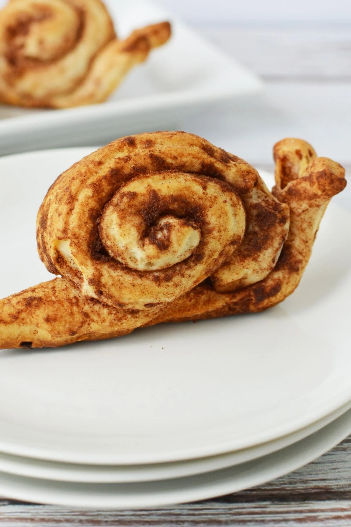 Cinnamon Snails from Cinnamon Rolls