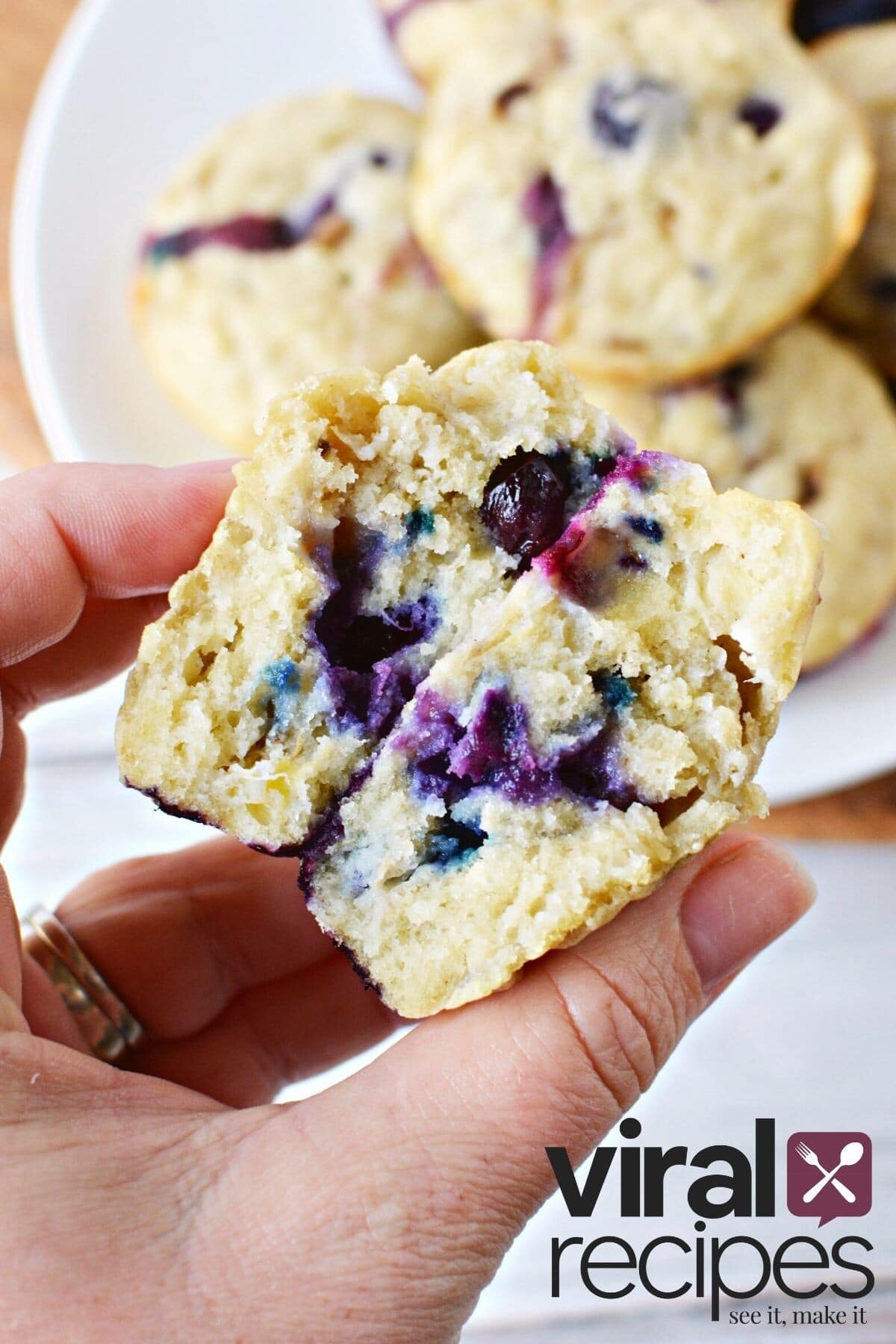 inside of a blueberry dog muffin.