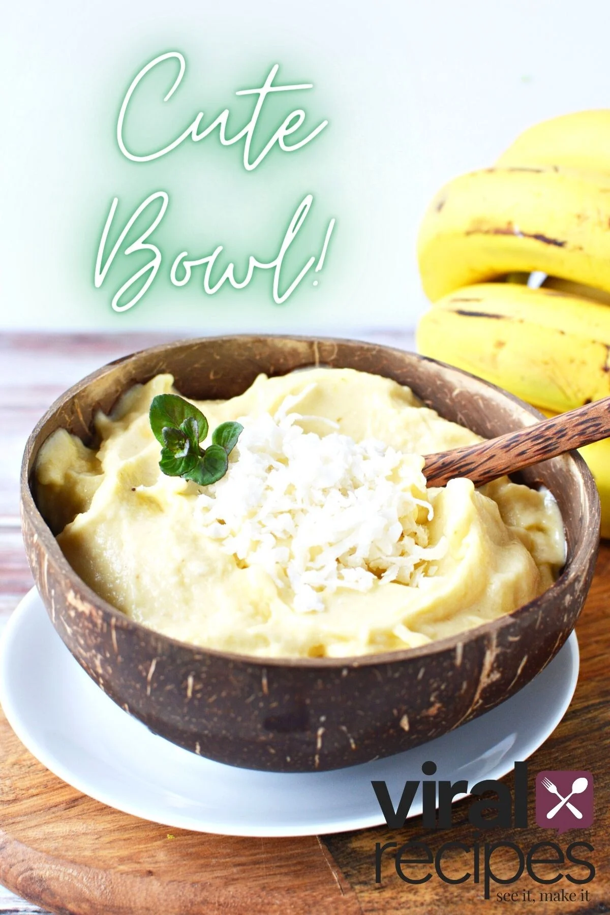 coconut bowl to serve sorbet and smoothies.