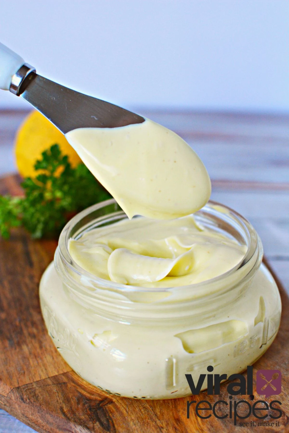 immersion blender mayo recipe.