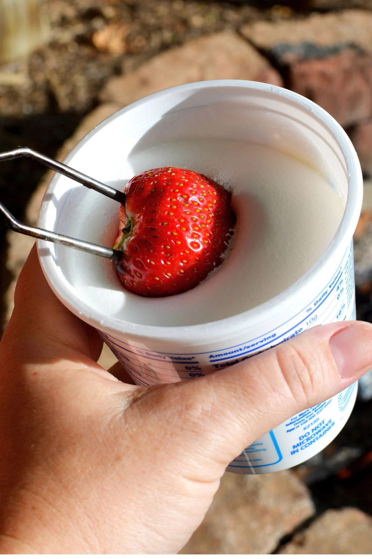 Campfire Marshmallow Strawberries