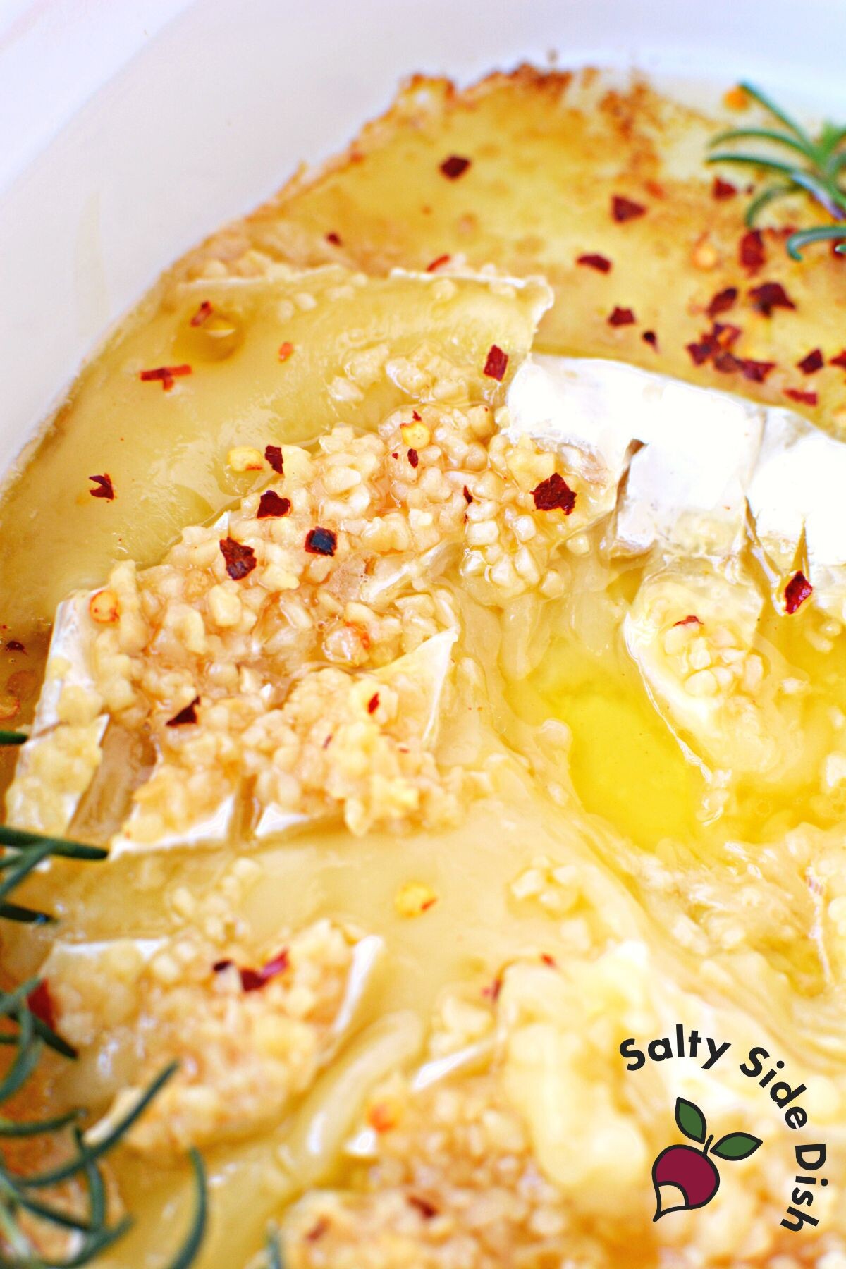 delicious appetizer recipes.