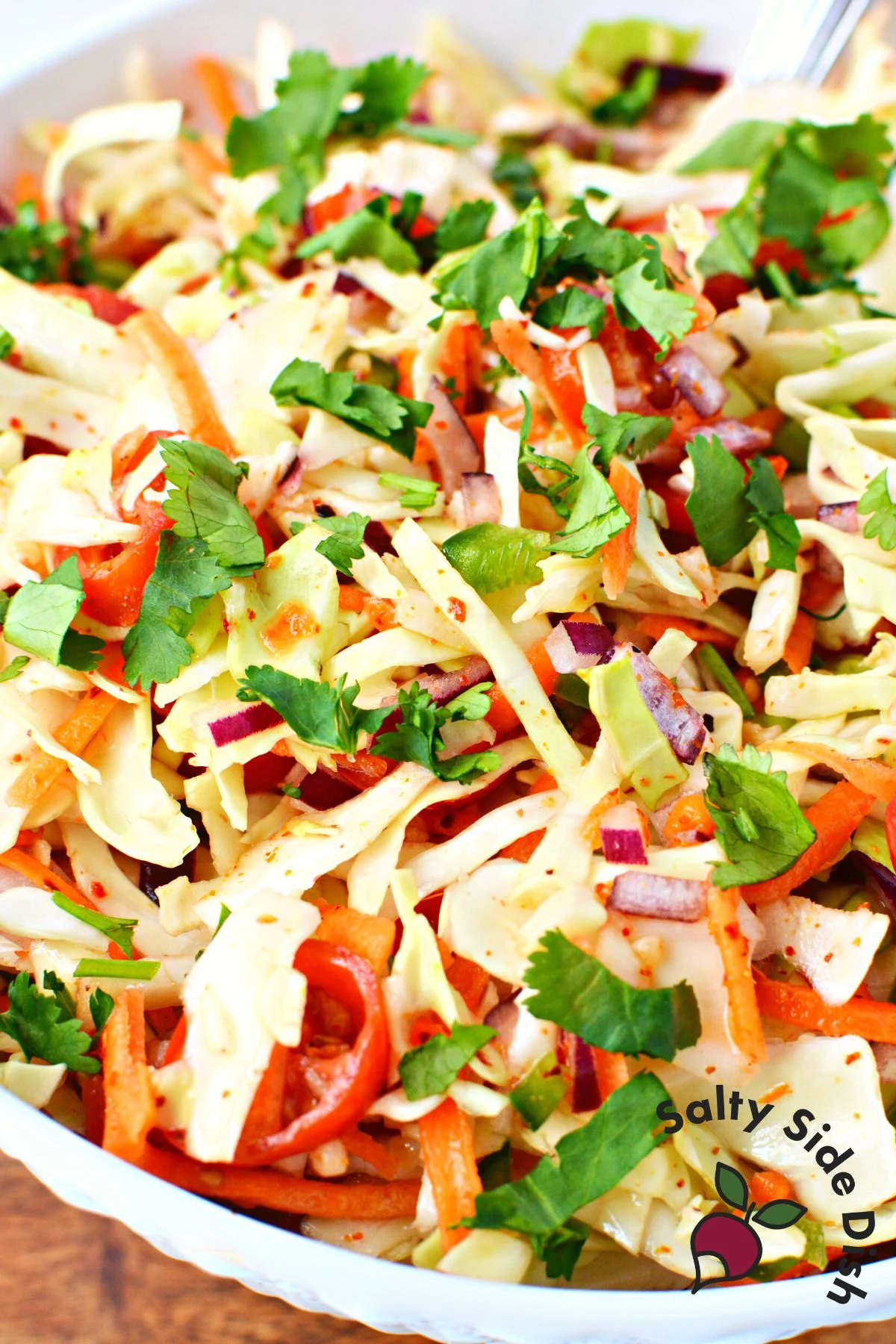 Salsa Coleslaw