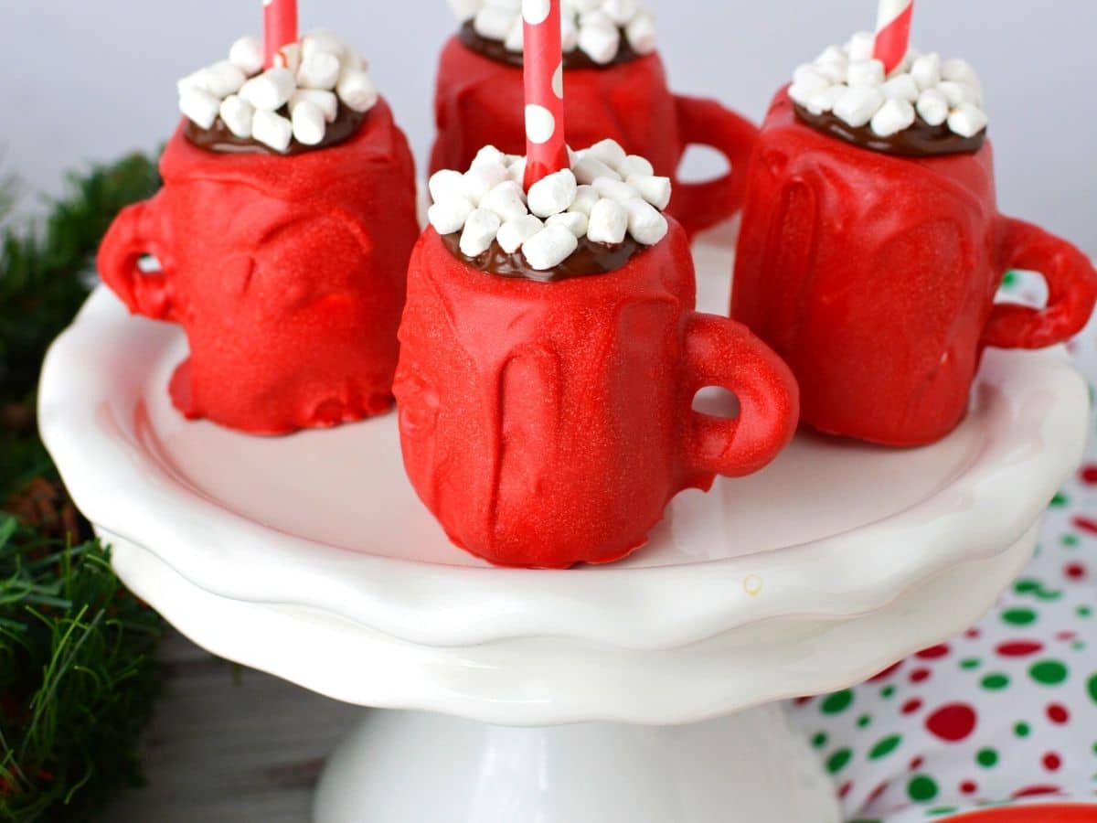 Marshmallow Mug Cocoa Dippers