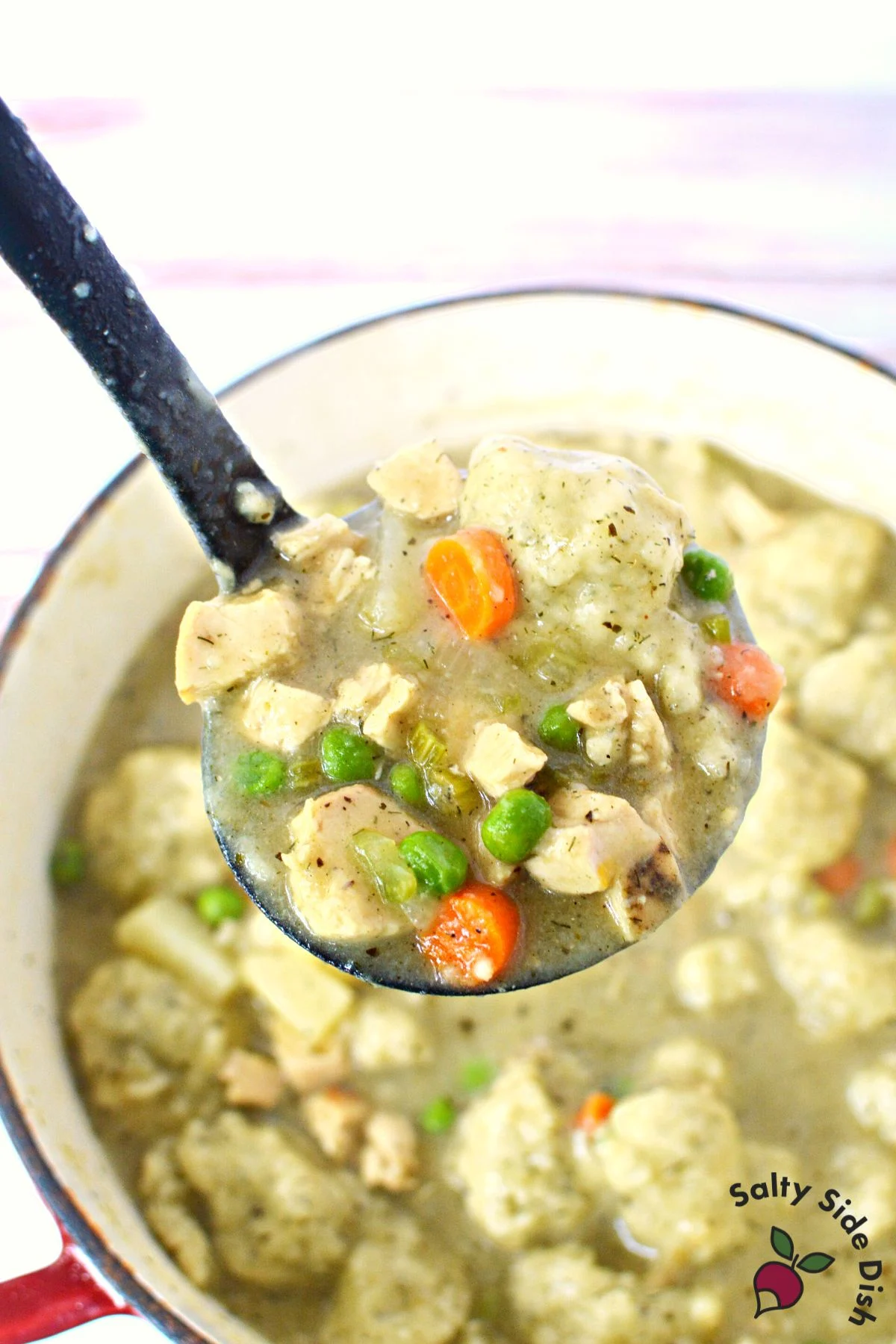 Chicken Stew with Dumplings