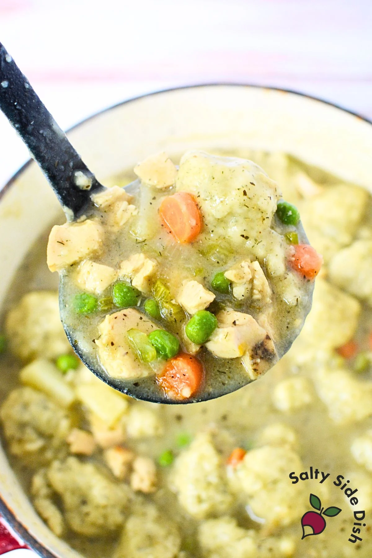 Ladle full of chicken stew and vegetables.