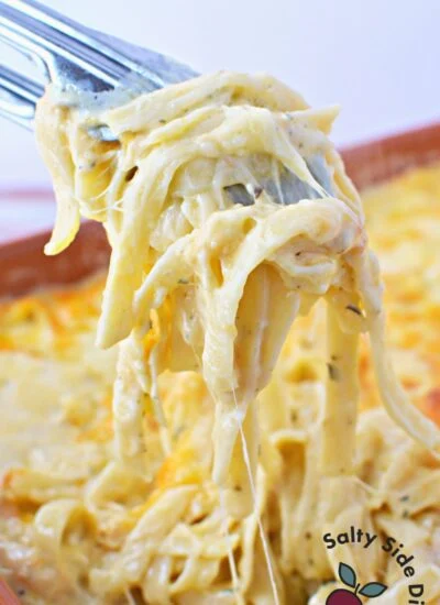 fork holding chicken tetrazzini.
