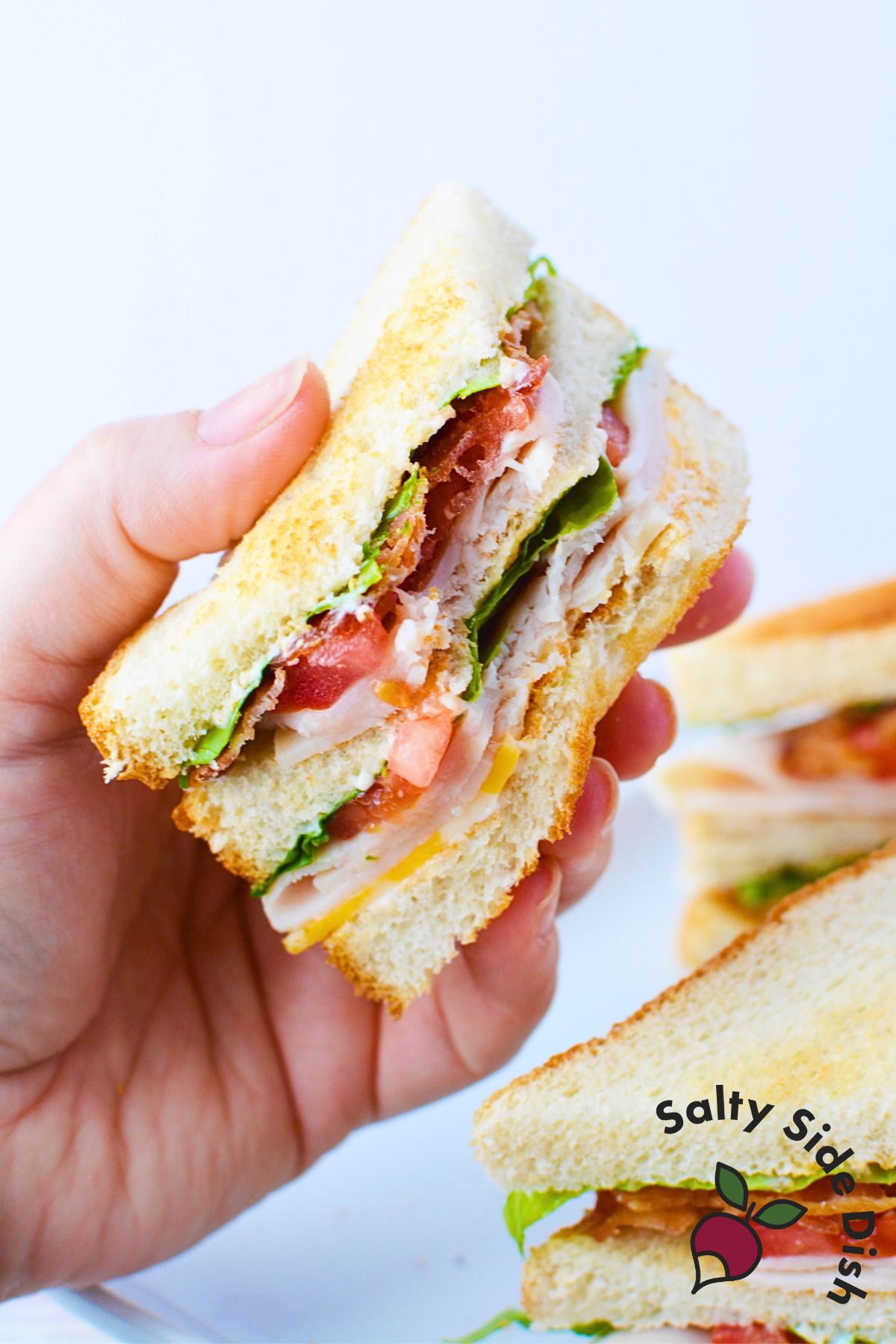 a bite taken out of a sandwich.
