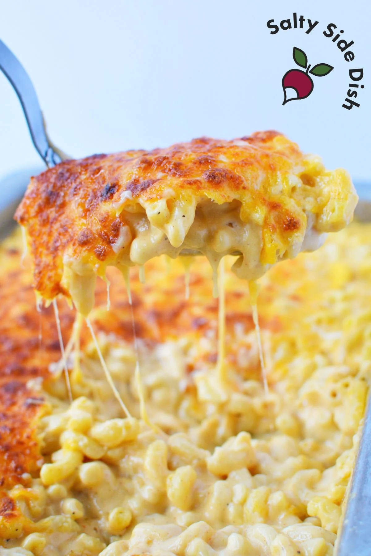 Close-up of creamy three-cheese mac and cheese
