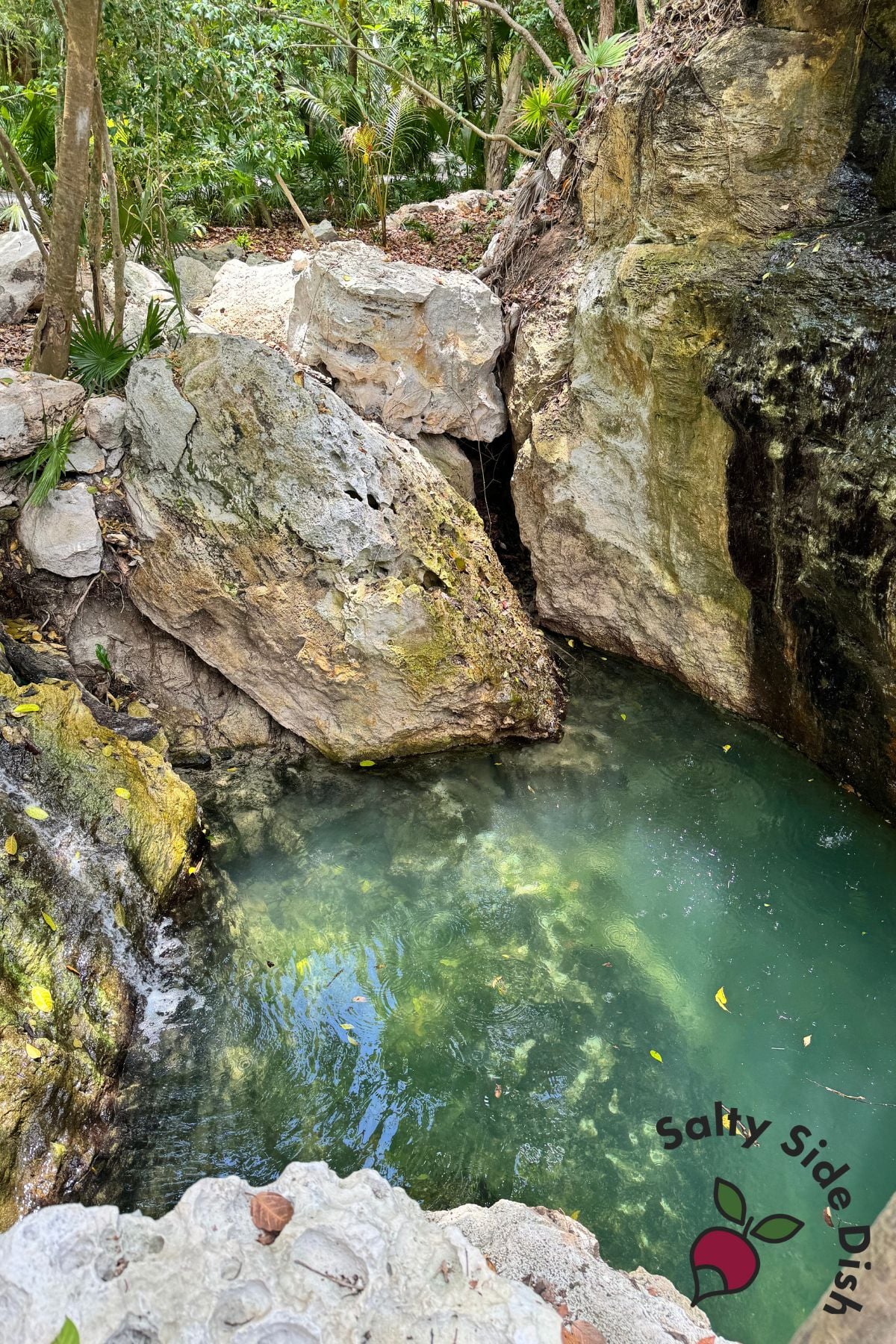 cenote