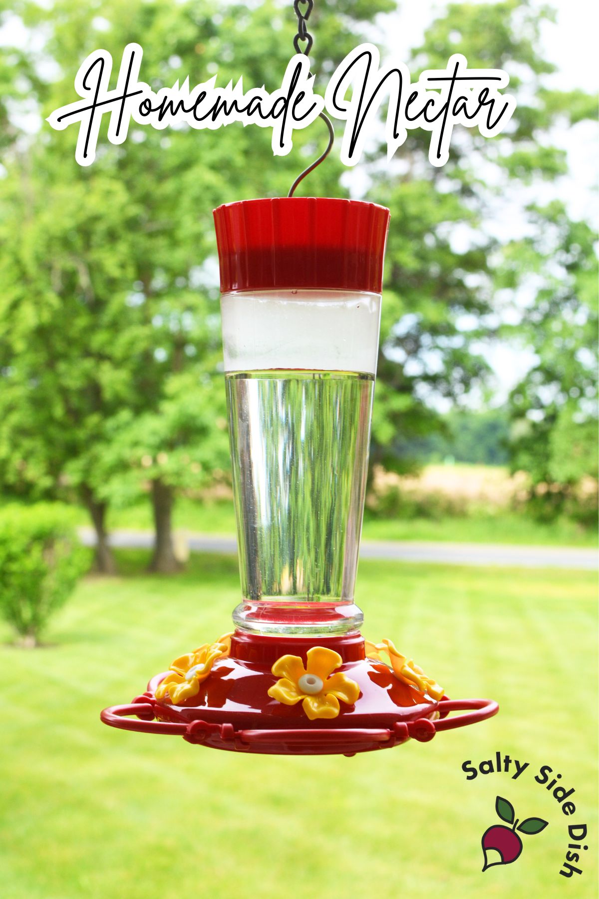 Hummingbird Food (Homemade Nectar)