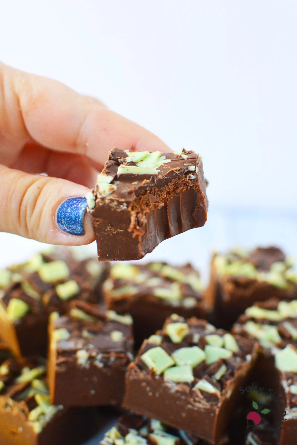 holding a piece of bitten fudge.