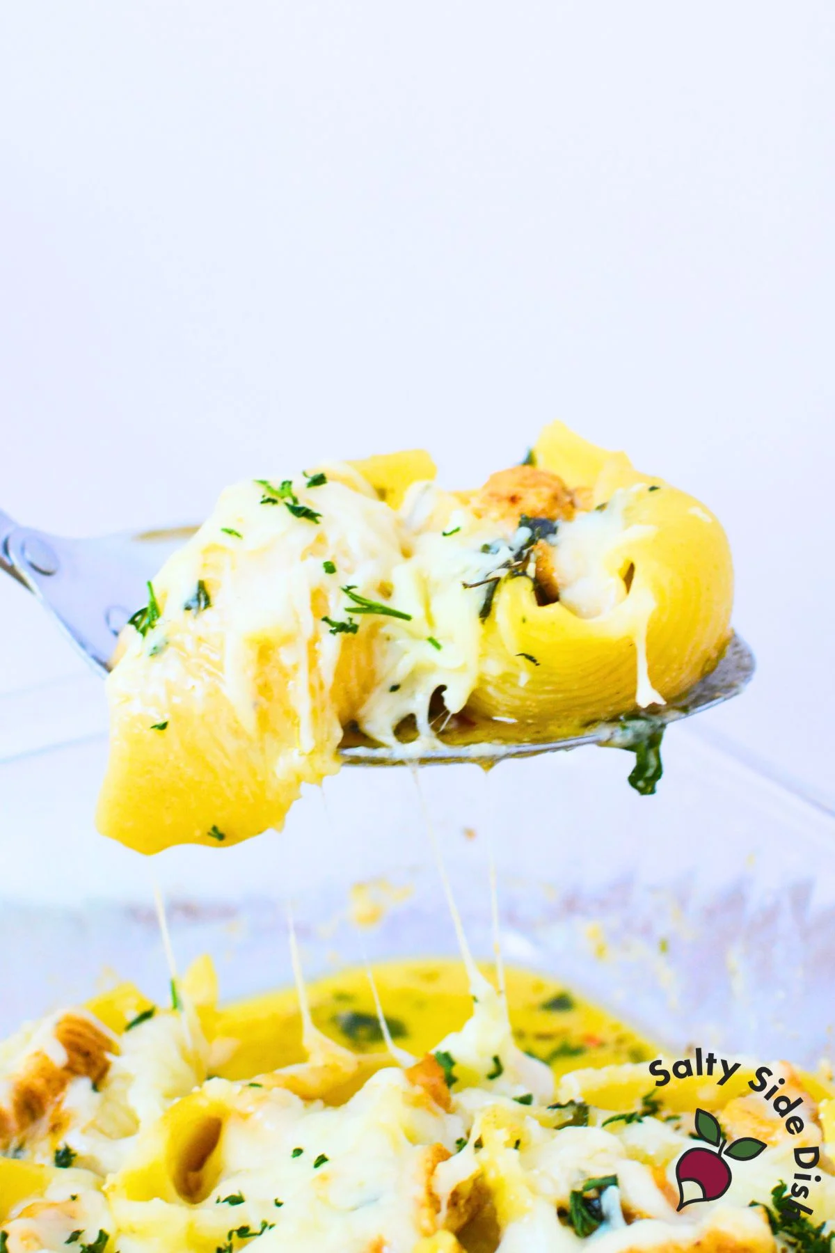 Cheesy chicken Alfredo stuffed shell being lifted from the baking dish with melted cheese stretching and parsley garnish on top.