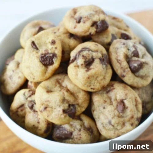 A bowl of delicious, tiny chocolate chip mini cookies