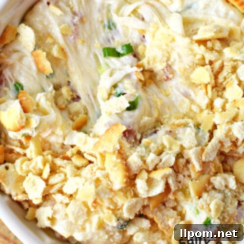 Swiss Bacon Indulgence 8 best cheese dip.