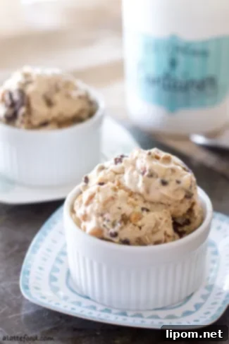 Peanut Butter Chocolate Chip Ice Cream