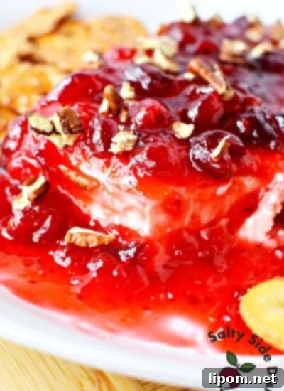 Luscious Strawberry Dip 8 Easy holiday appetizer featuring a creamy strawberry cranberry dip, perfect for festive gatherings.