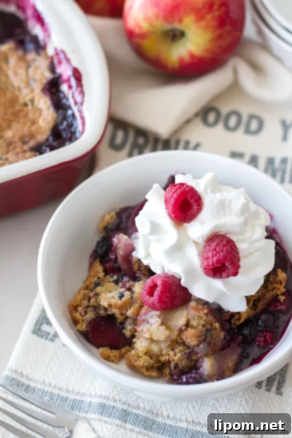 Rustic Apple Berry Cobbler 5 Serving of warm apple berry cobbler topped with ice cream